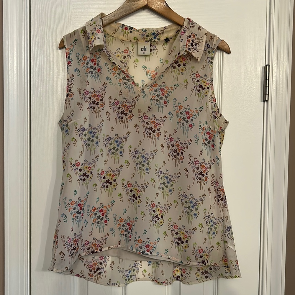 CAbi sleeveless V neck shirt with camisole.